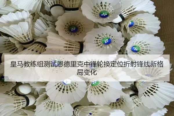 img_1780779545130_1187_1_925.jpg