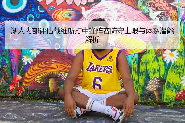 湖人内部评估戴维斯打中锋阵容防守上限与体系潜能解析